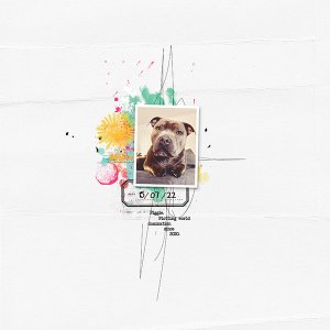 sbasic_allmixedastackedvii_Tracy