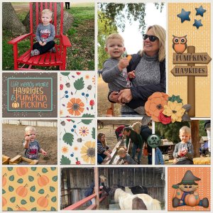 Pumpkin Patch (R)