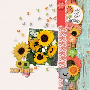 Sunflowers