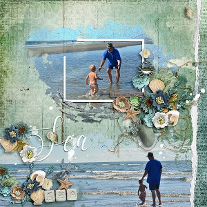 Coastal Wind