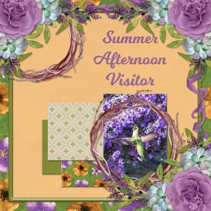 Summer Afternoon Visitor