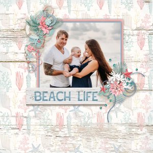 Beach Vibes-LDrag