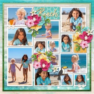 Pocket album 13