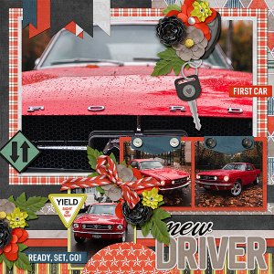 License to Drive