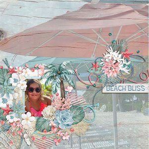 Beach Bliss
