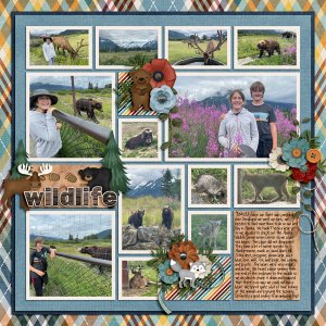 Wildlife
