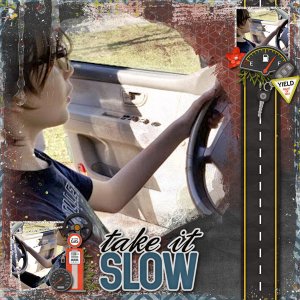 Aimeeh_LicenseToDrive_MFish_Peripatetic2_600