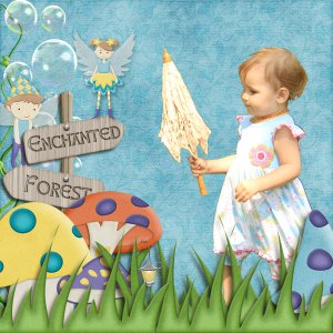Enchanted Forest