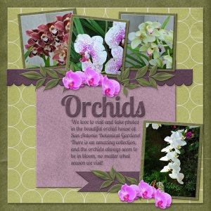 Orchids
