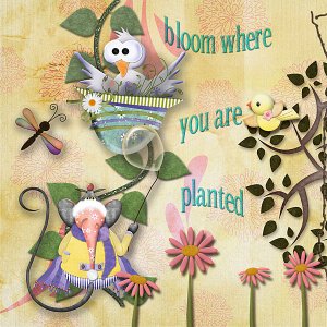 Bloom