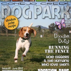 Dog Park