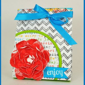 Enjoy No Cut Bag