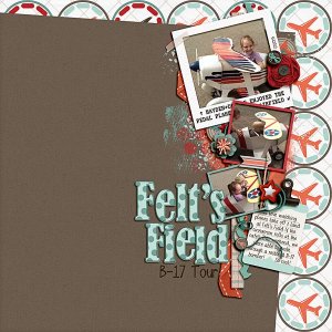 Felt's Field