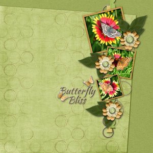 Butterfly Bliss