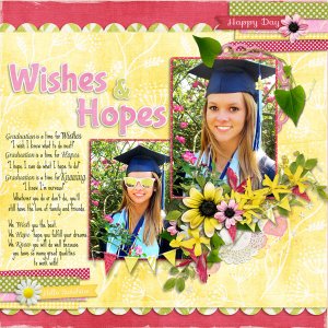 Wishes and Hopes