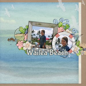 Wailea Beach