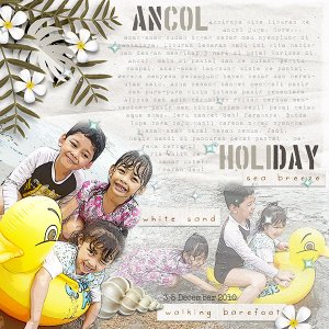 Ancol Holiday