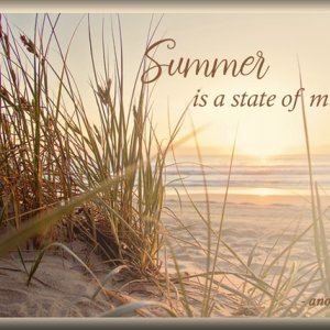 ATC 20222-013 Summer