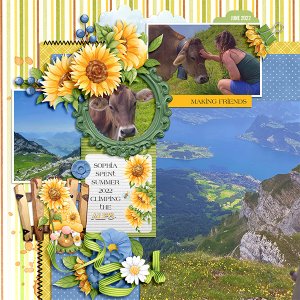 Making Friends