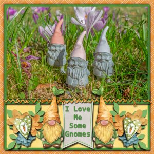 I Love Me Some Gnomes