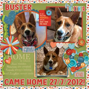 Happy Birthday Buster