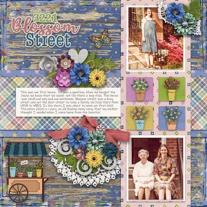 Blossom Street