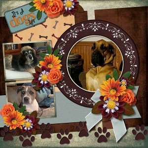 Pedigree by ADB Designs