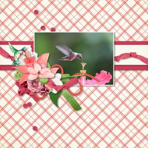 Pink Hummingbird