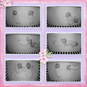 Sleeping_Babies_L