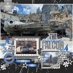 the Millennium Falcon