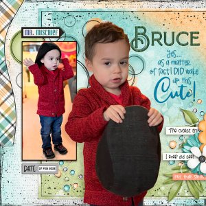 Bruce