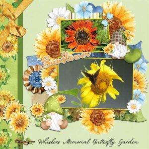 Sunflowers August DD