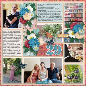 2022 Week 29