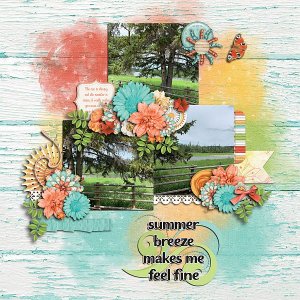 Summer Breeze