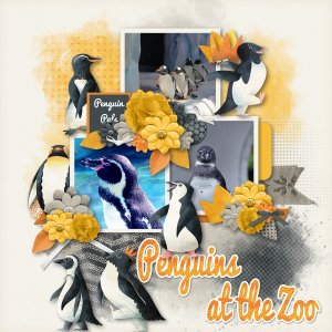 Penguins at the Zoo