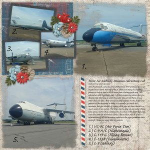 Aug Challenge Artsy Blocks 5-Miss Fish, Aviator-CathyK