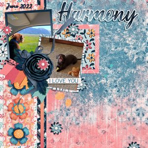 Harmony