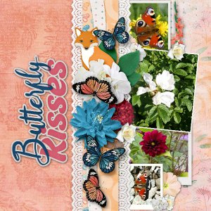 Butterflies15