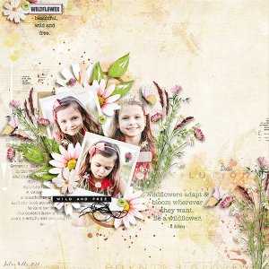 wildflower