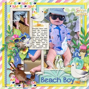 Beach Boy