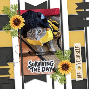 August 2022 Template Challenge