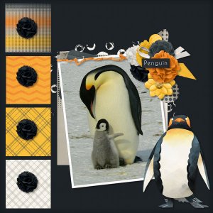 Happy Feet