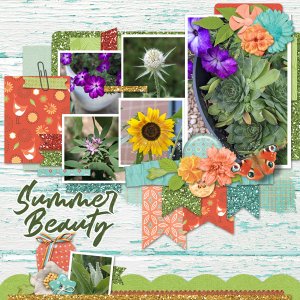 Summer Beauty