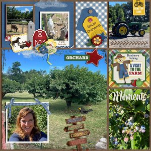 Blueberry Picking at the Orchard