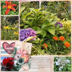 August garden