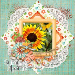Summer Blooms