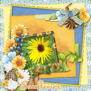 Sunflower