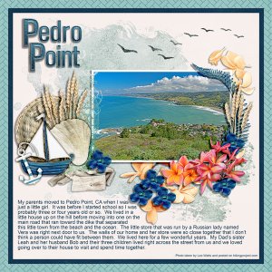 PEDRO POINT 1
