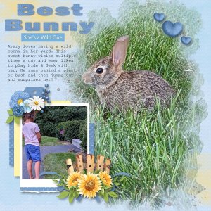 Best Bunny