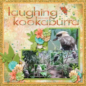 Laughing_Kookaburra_small